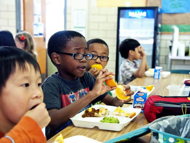 kids-lunch kids-lunch